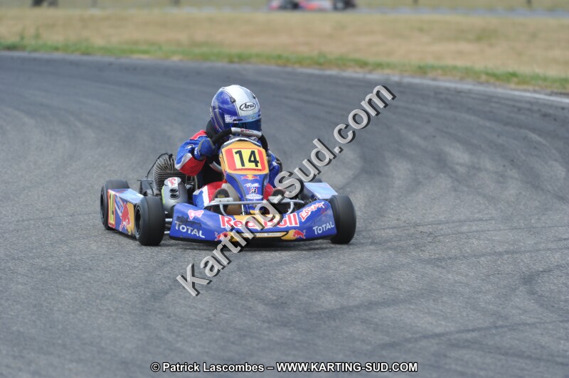 DSC_1906.JPG