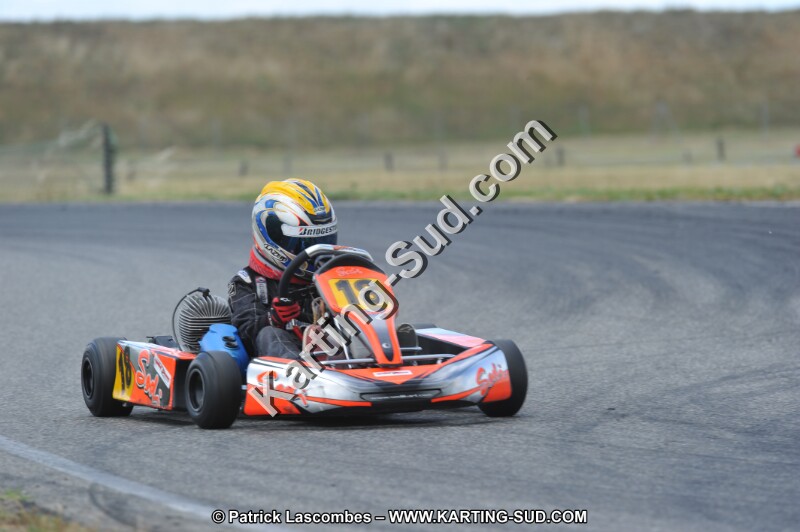 DSC_1921.JPG