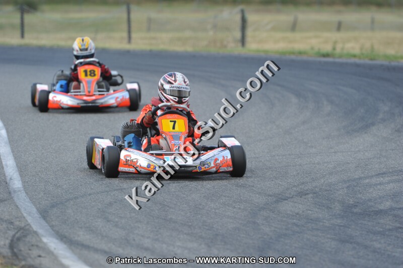 DSC_1949.JPG