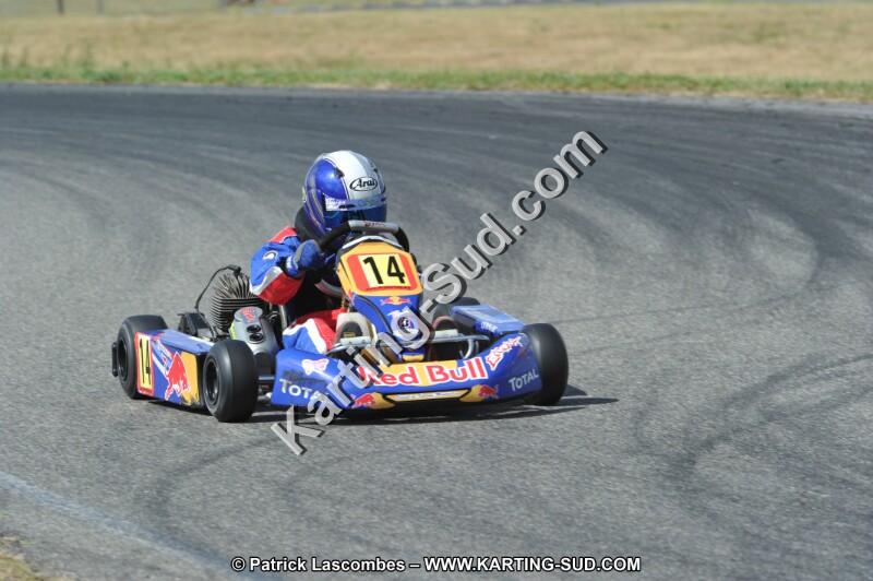 DSC_1981.JPG
