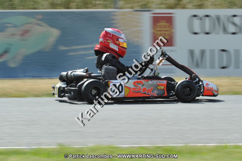 DSC_1987.JPG