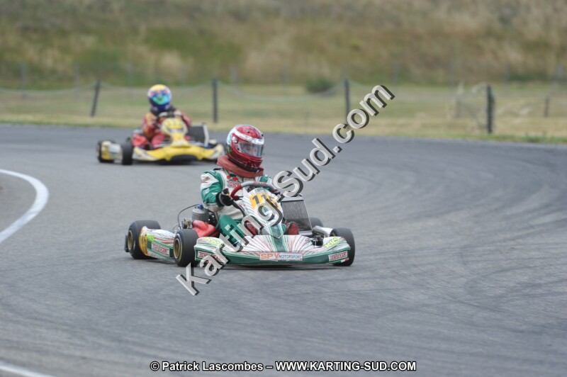 DSC_2017.JPG
