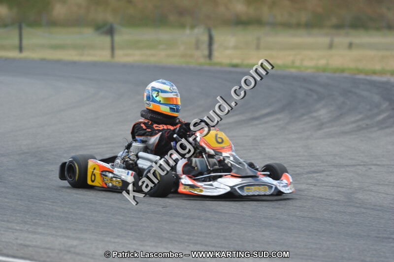 DSC_2033.JPG