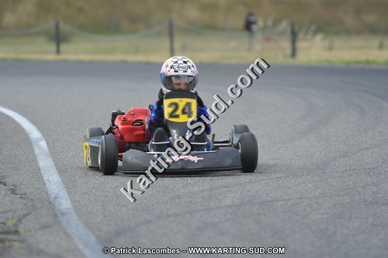 DSC_2208.JPG