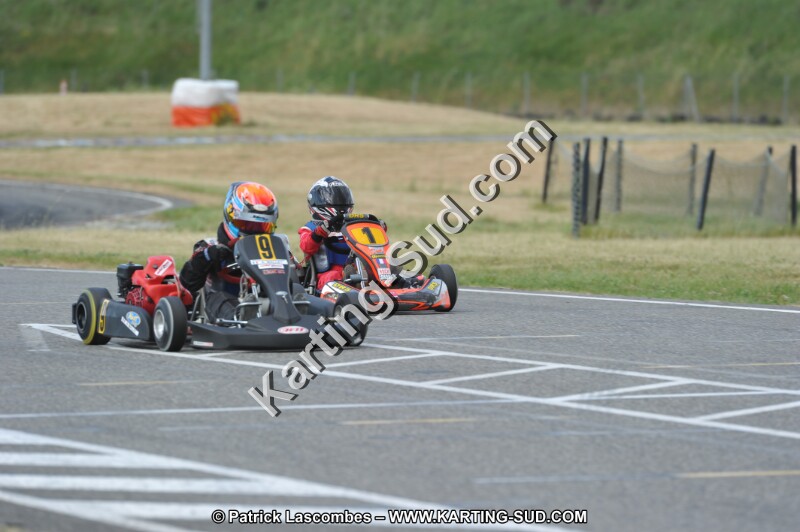 DSC_2213.JPG