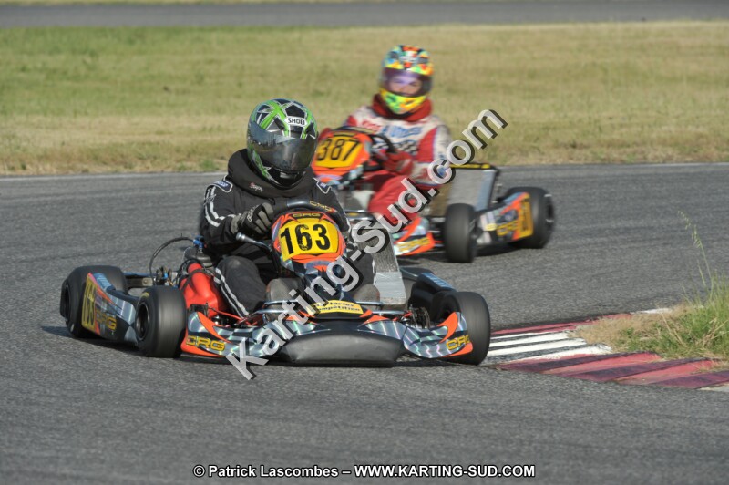DSC_9656.JPG