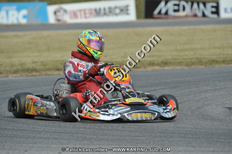 DSC_9951.JPG