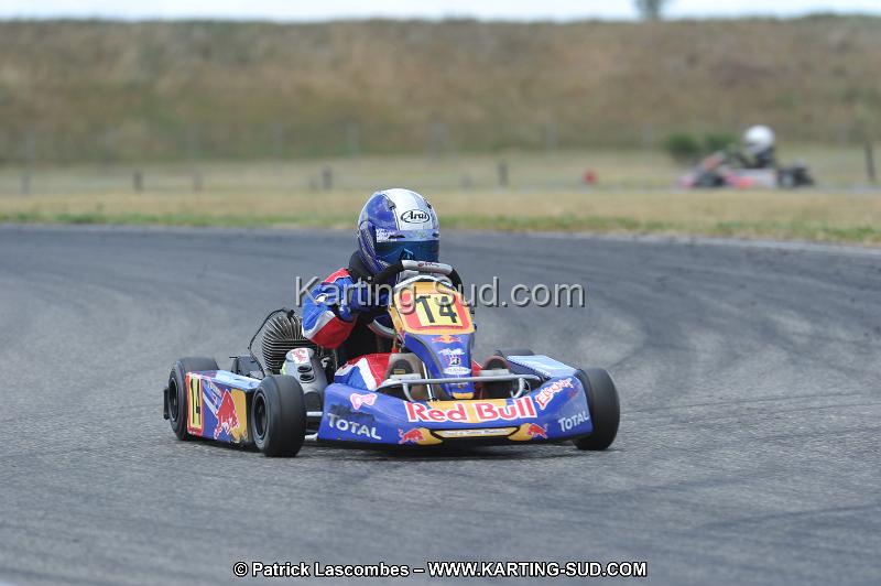 DSC_1919.JPG