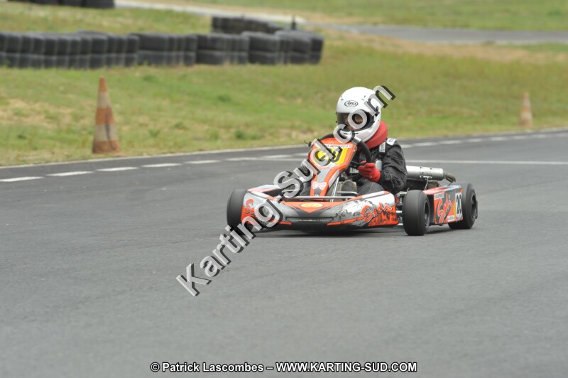 DSC_1610.JPG