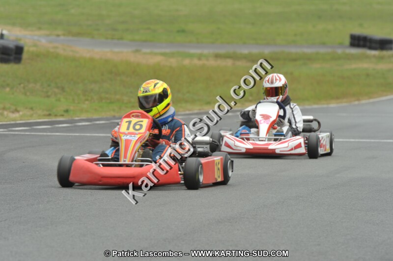 DSC_1616.JPG