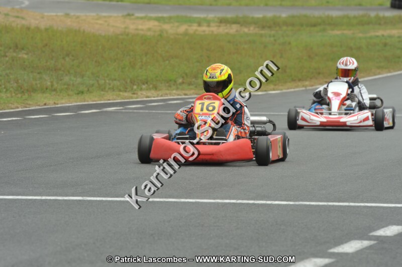DSC_1629.JPG