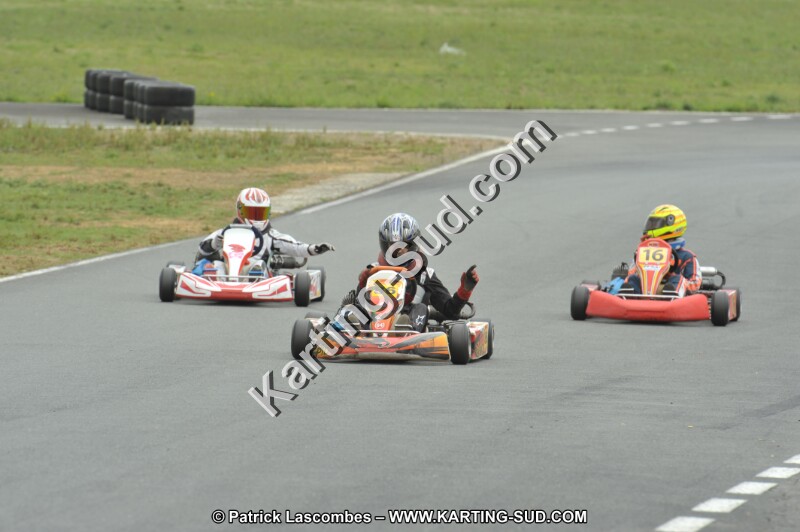 DSC_1643.JPG