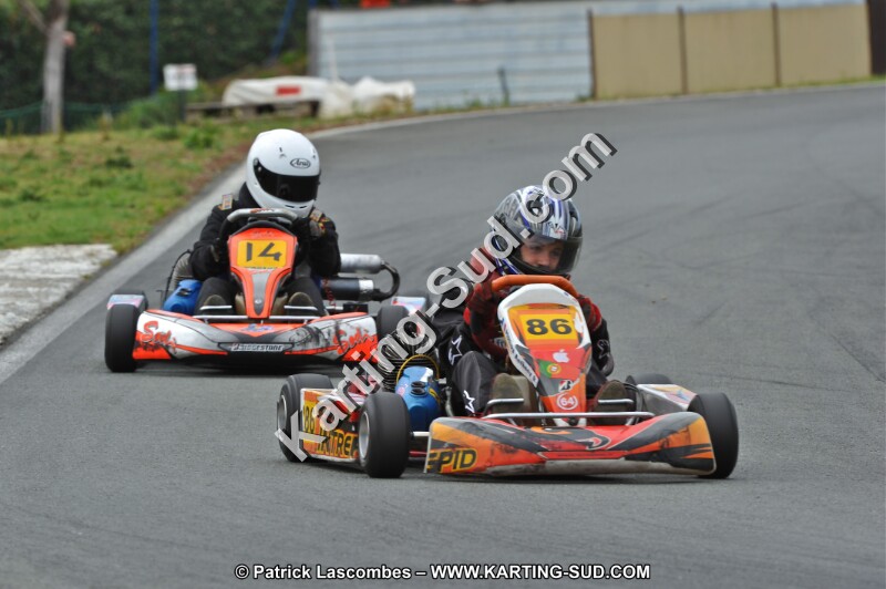 DSC_2310.JPG