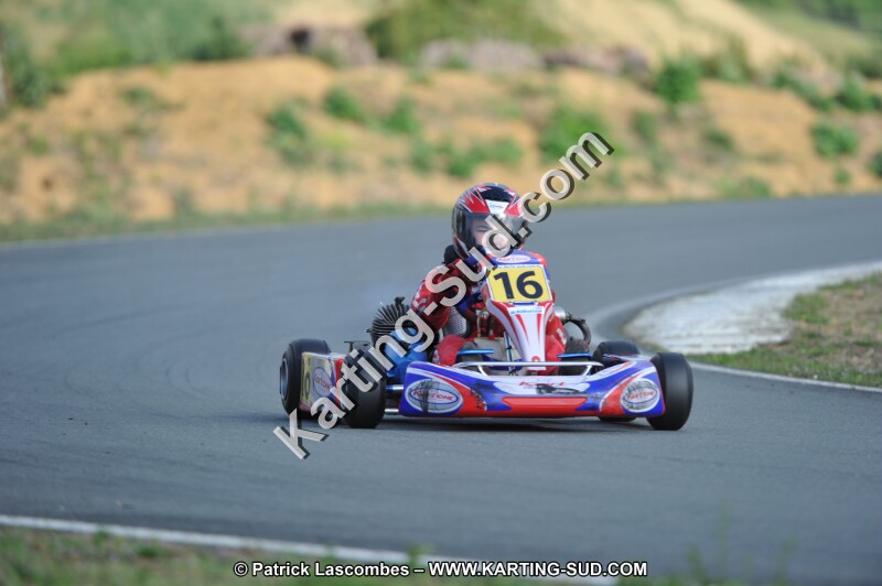 DSC_2458.JPG