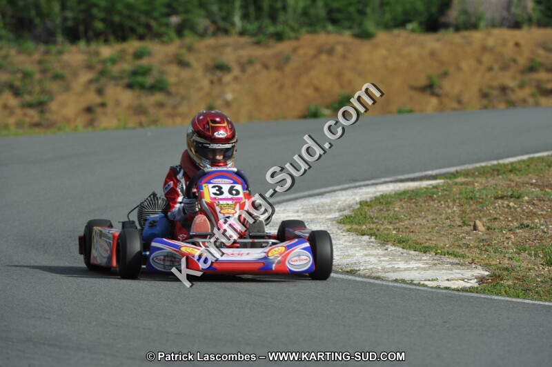 DSC_2494.JPG