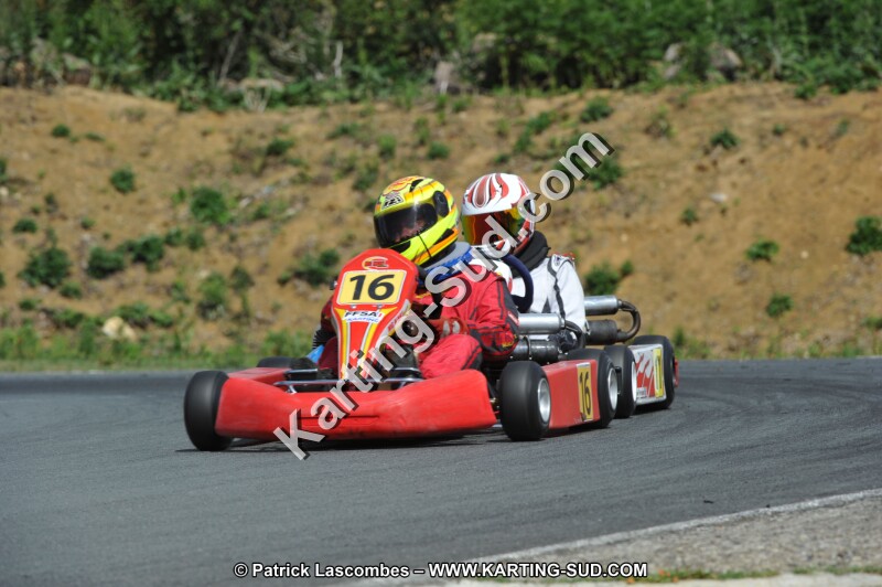 DSC_3132.JPG