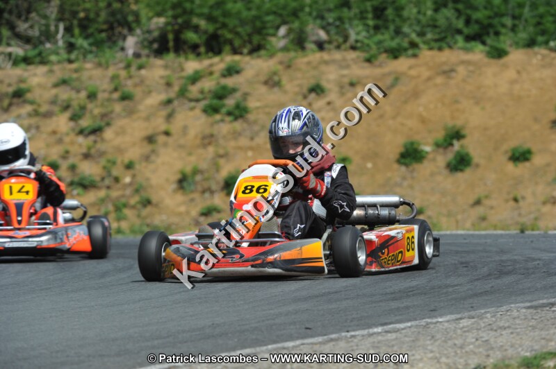 DSC_3134.JPG