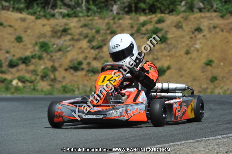 DSC_3140.JPG