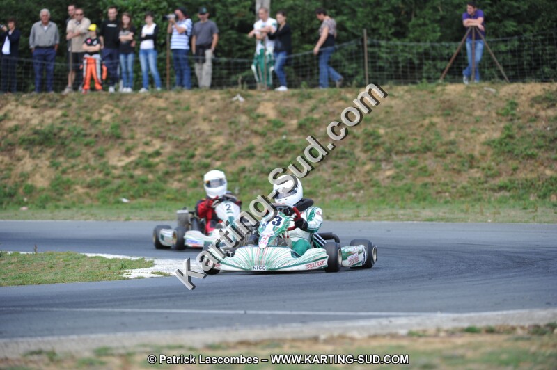 DSC_3167.JPG