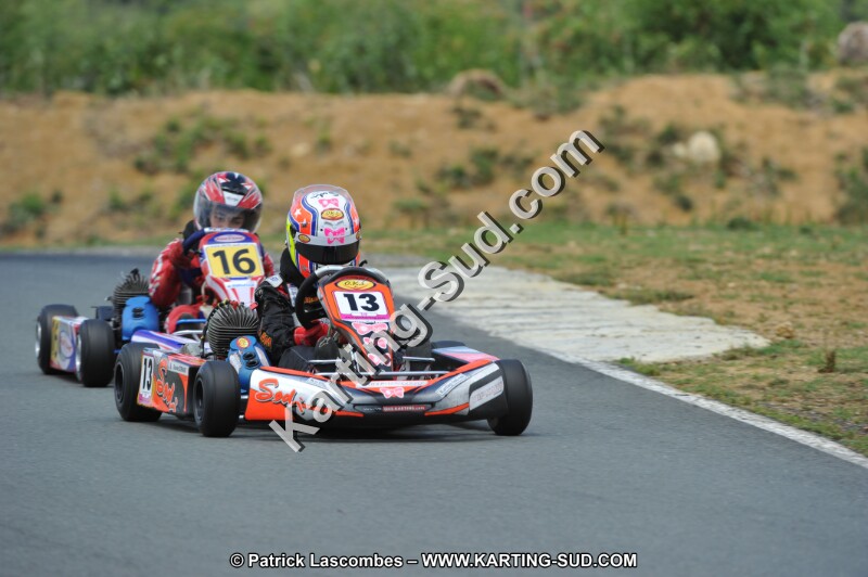 DSC_3445.JPG
