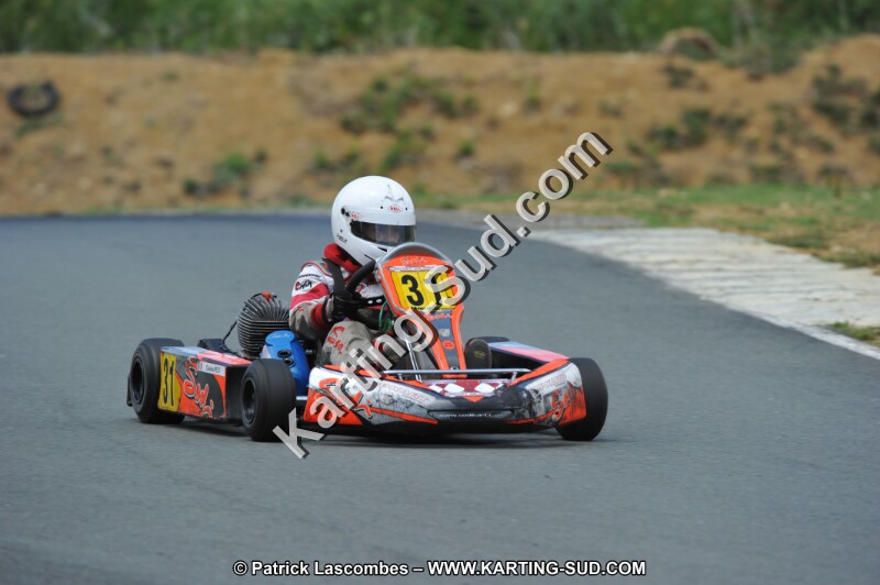 DSC_3446.JPG