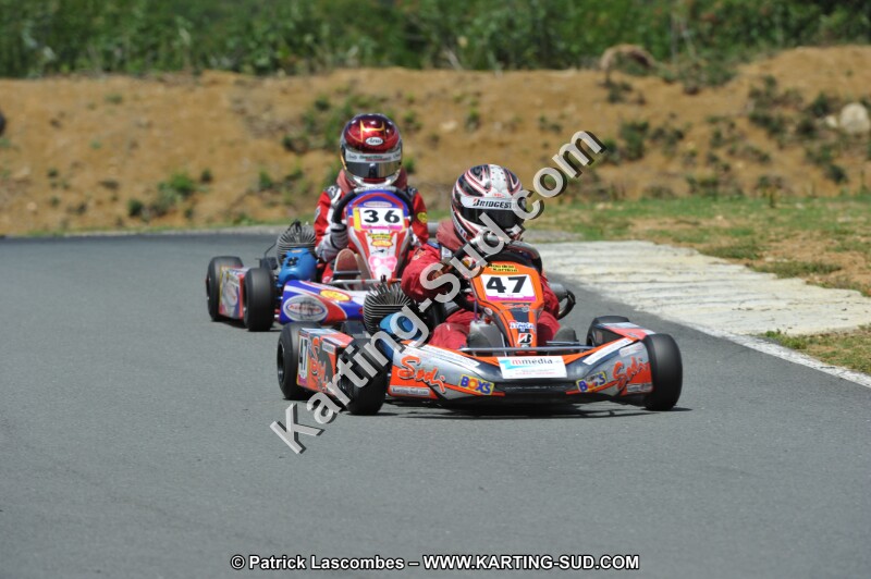 DSC_3461.JPG