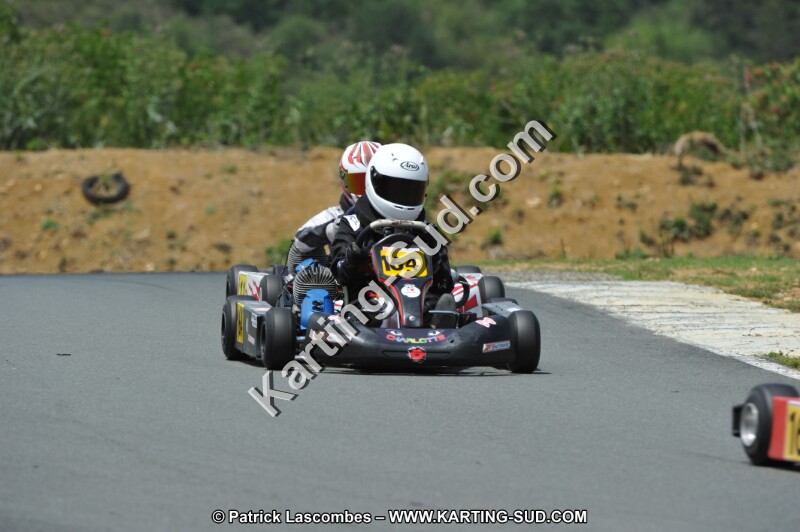 DSC_3503.JPG