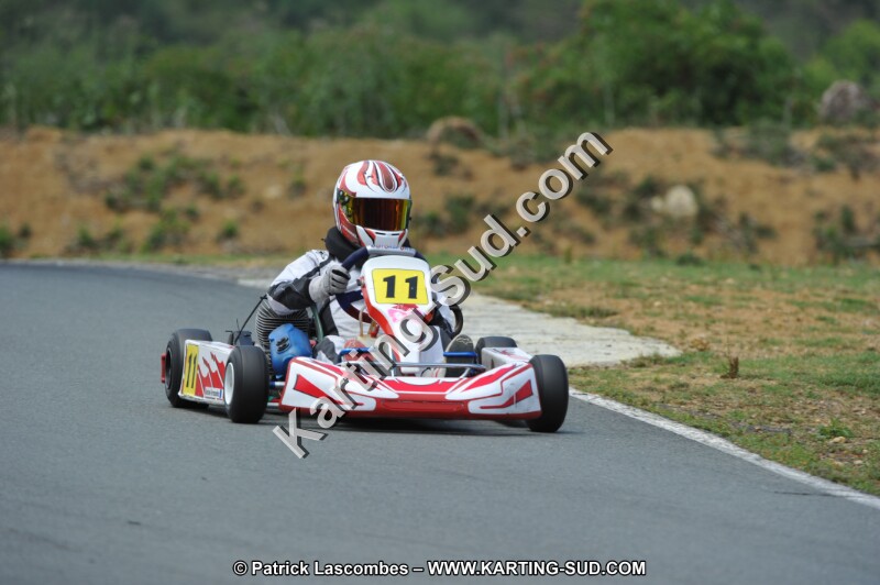 DSC_3517.JPG
