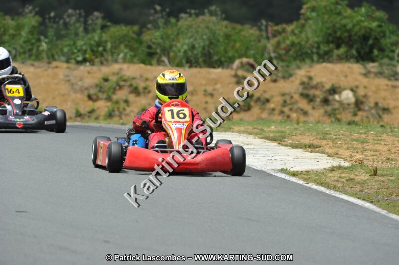 DSC_3518.JPG