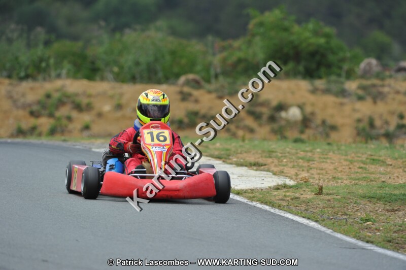 DSC_3528.JPG
