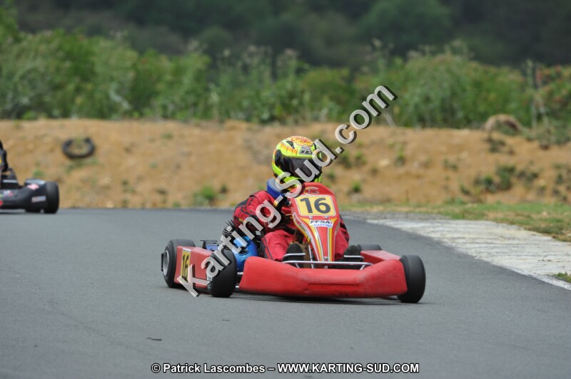 DSC_3534.JPG