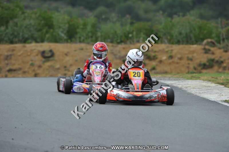 DSC_3669.JPG