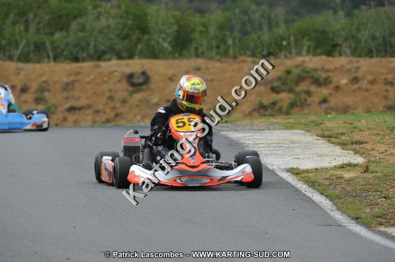 DSC_3779.JPG