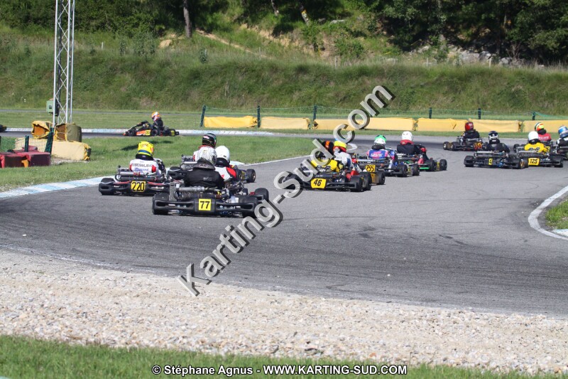 IMG_3552.JPG