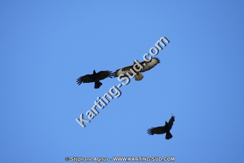 IMG_3905.JPG