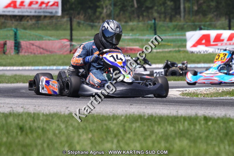IMG_4617.JPG