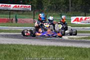 IMG_4556