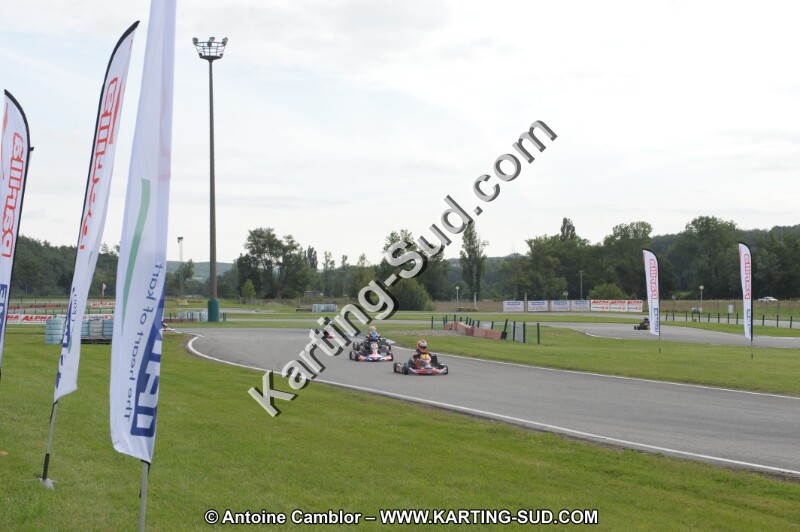 DSC_7727.JPG
