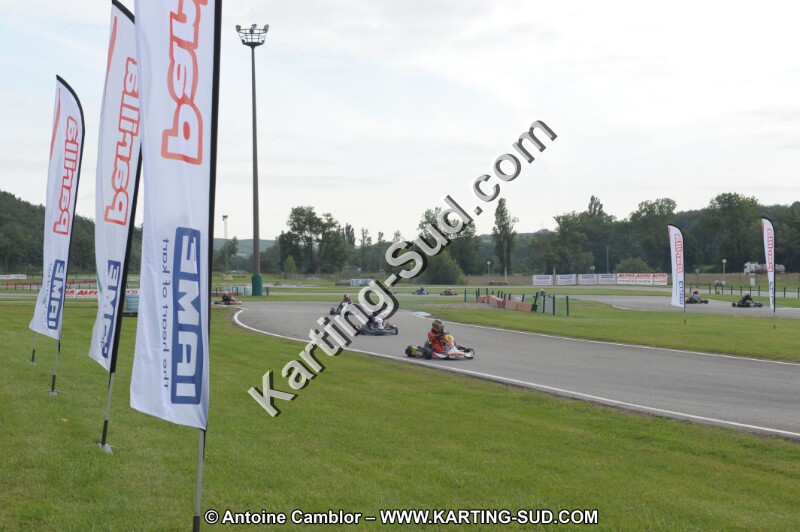 DSC_7729.JPG