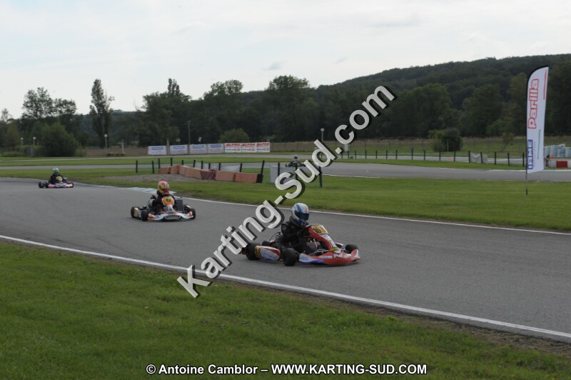DSC_7749.JPG