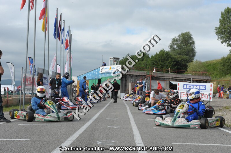 DSC_7785.JPG