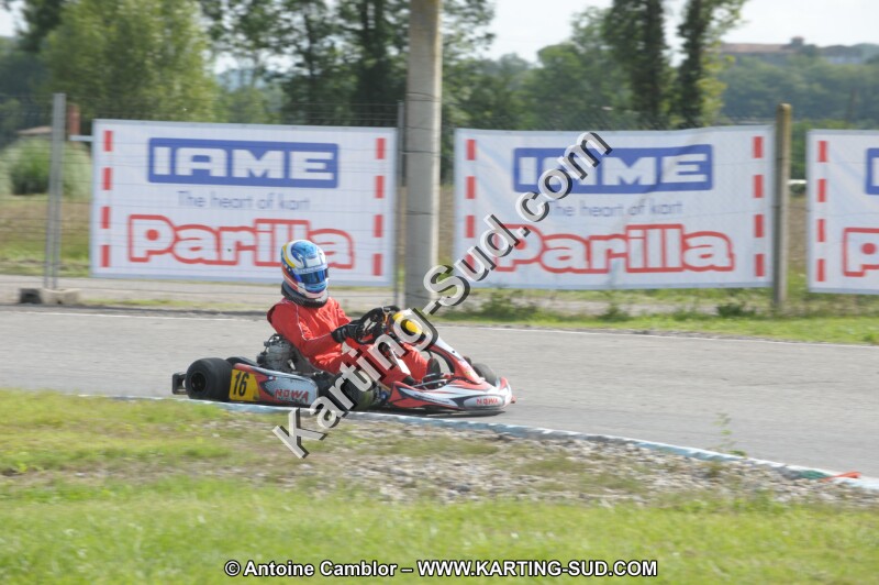 DSC_7856.JPG