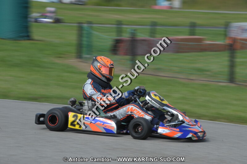 DSC_7955.JPG