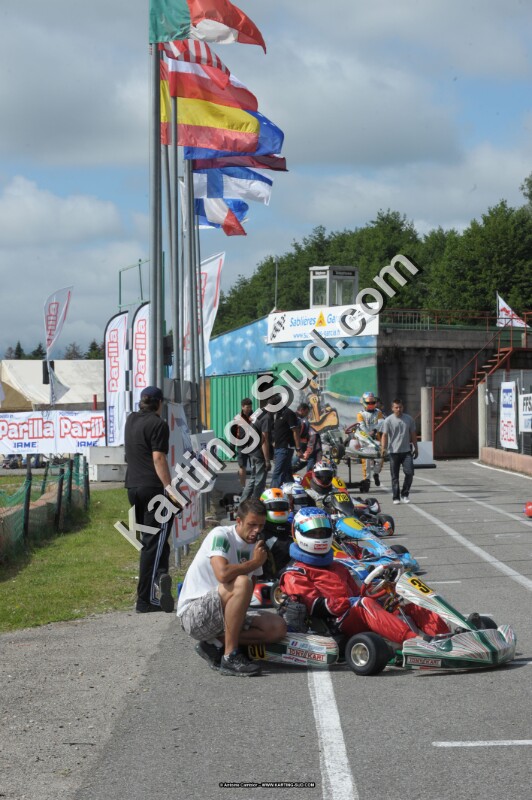 DSC_8132.jpg