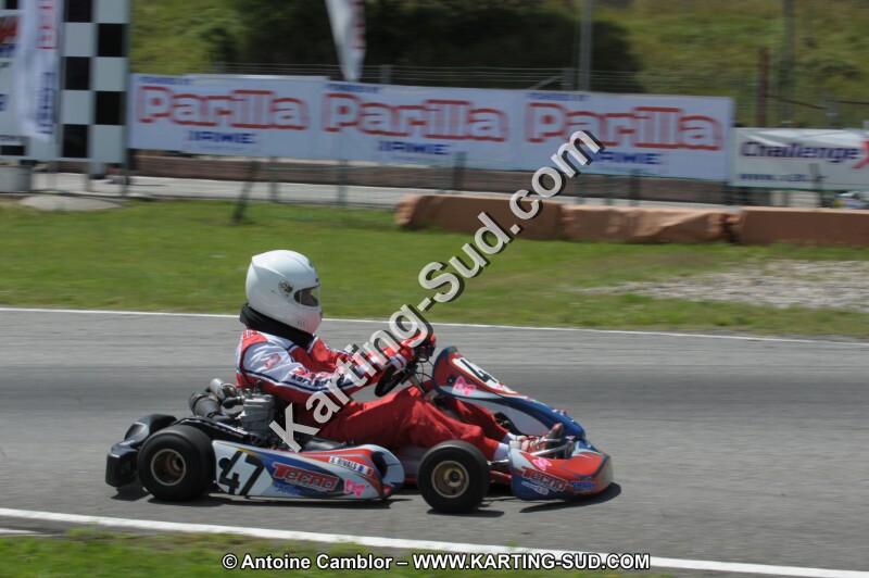 DSC_8550.JPG
