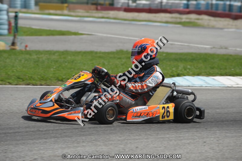DSC_8617.JPG
