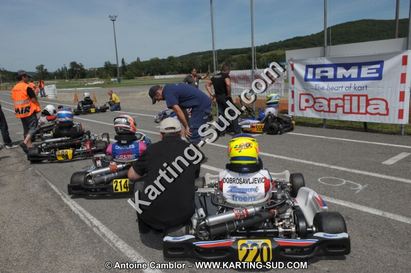 DSC_8638.JPG