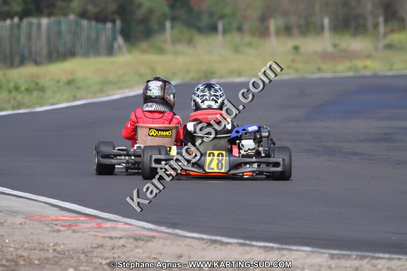 IMG_9973.JPG