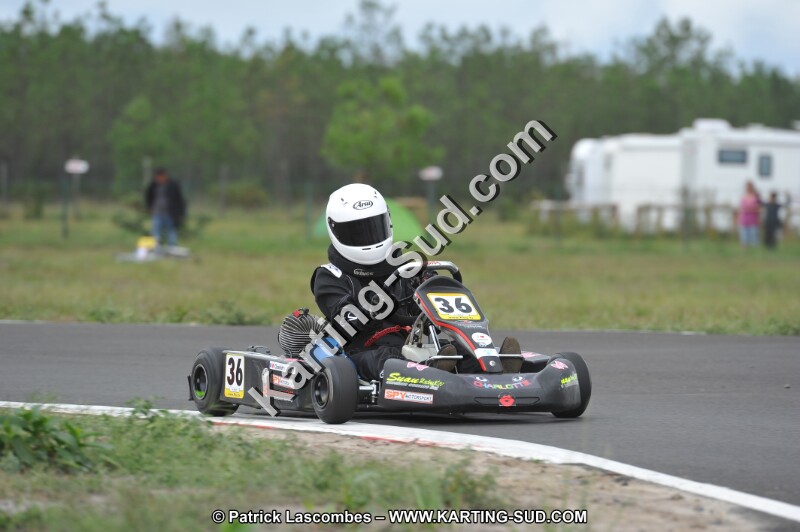 DSC_5446.JPG