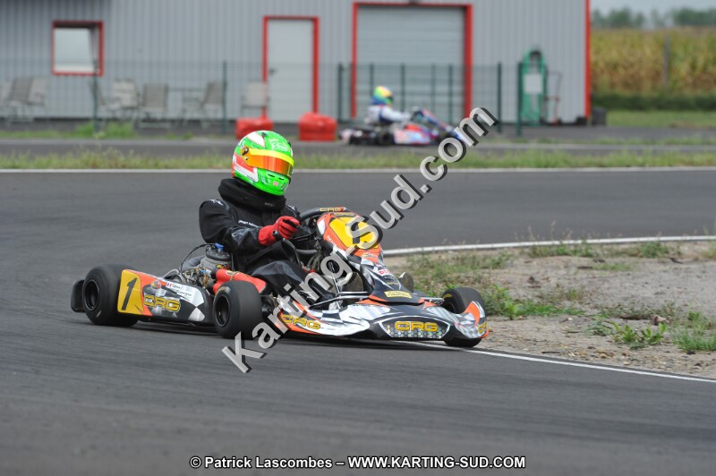 DSC_5508.JPG